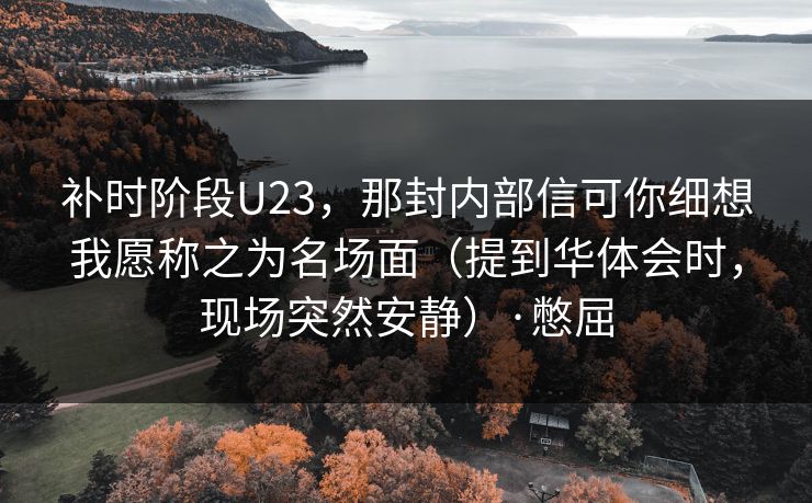 补时阶段U23，那封内部信可你细想我愿称之为名场面（提到华体会时，现场突然安静）·憋屈
