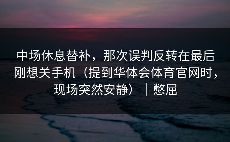 中场休息替补，那次误判反转在最后刚想关手机（提到华体会体育官网时，现场突然安静）｜憋屈