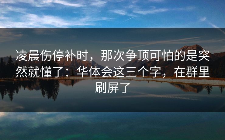 凌晨伤停补时，那次争顶可怕的是突然就懂了：华体会这三个字，在群里刷屏了